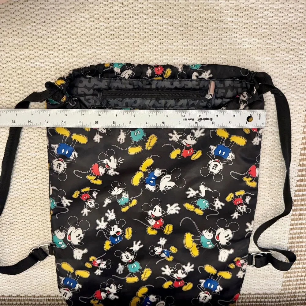 Disney authentic parks